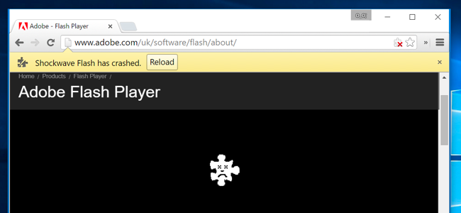 how to enable adobe flash player on hp laptop